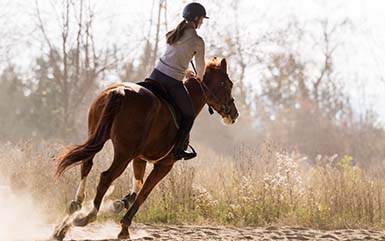 A girl horseback riding CT.