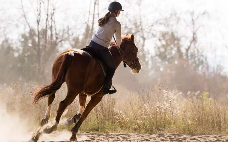 A girl horseback riding in CT. 