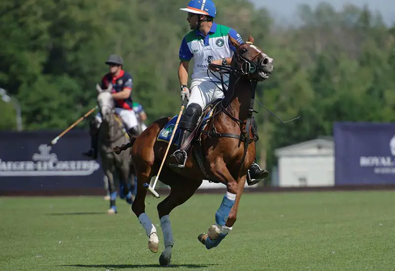 The Greenwich Polo Club is one of the most culturally-rich Connecticut attractions.