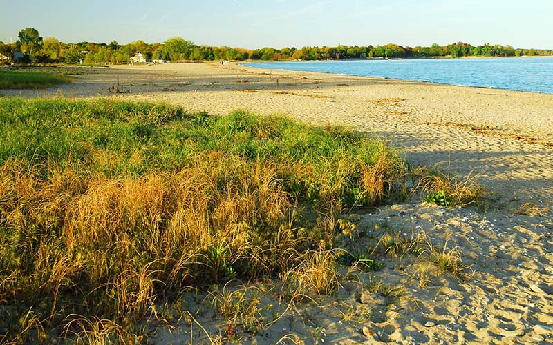 Sherwood Island State Park, the home of a great beach in Westport, CT.