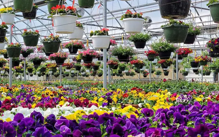 Garden Centers in CT – 13 Best Connecticut Nurseries [2024 ...